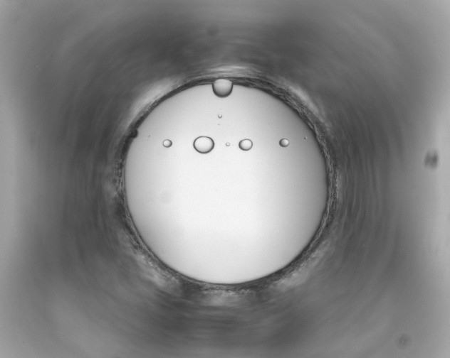 X0000092091405200709121116
