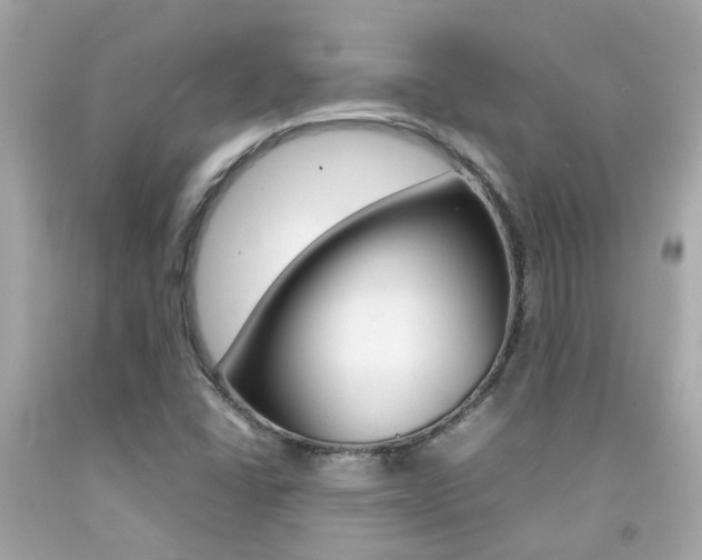 X0000092091406200709121116