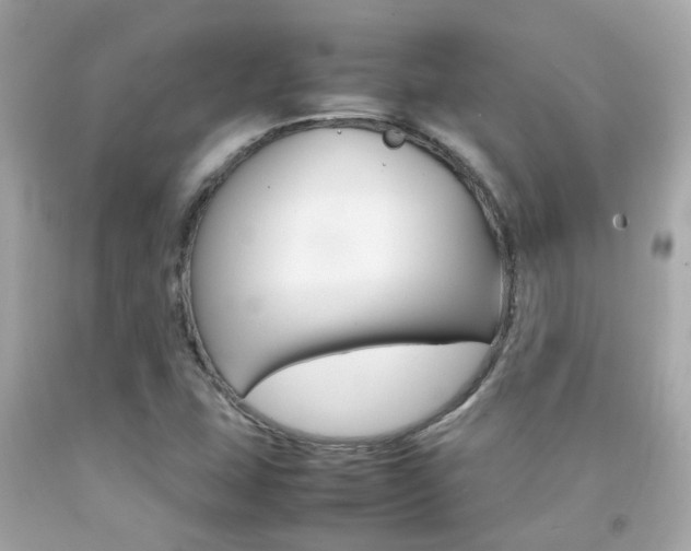 X0000092091407200709121116