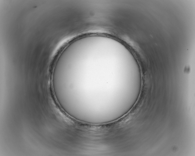 X0000092091408200709121116