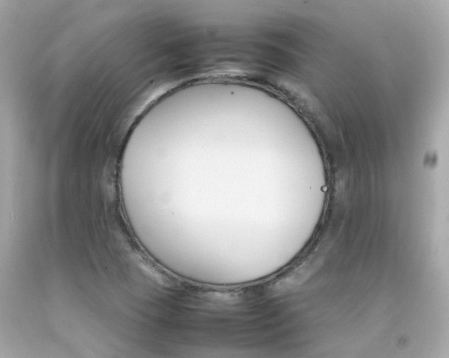 X0000092091409200709121116