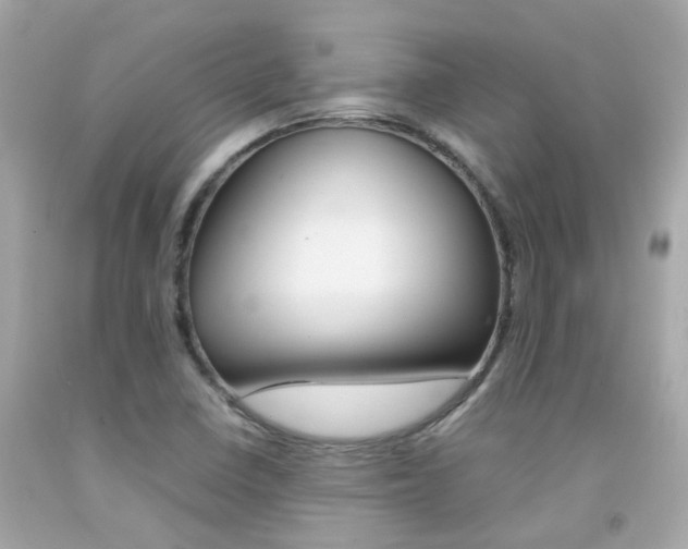 X0000092091410200709121116