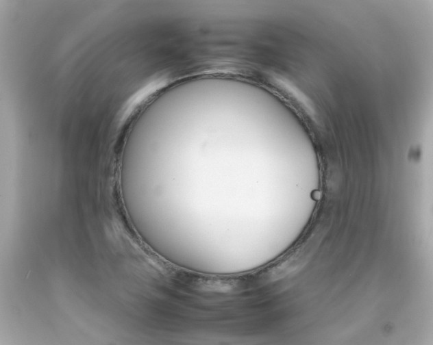 X0000092091411200709121116