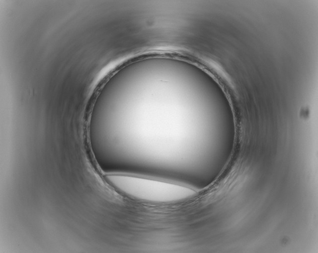 X0000092091412200709121116