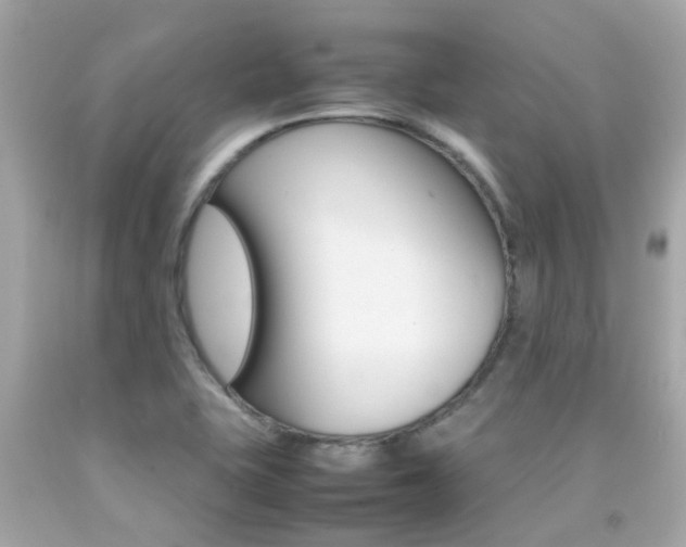 X0000092091415200709121116