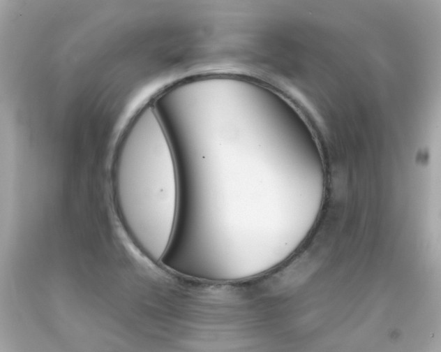 X0000092091416200709121116