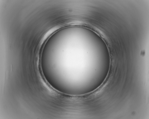 X0000092091418200709121116