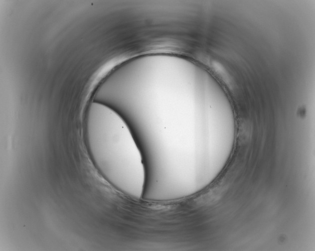 X0000092091419200709121116