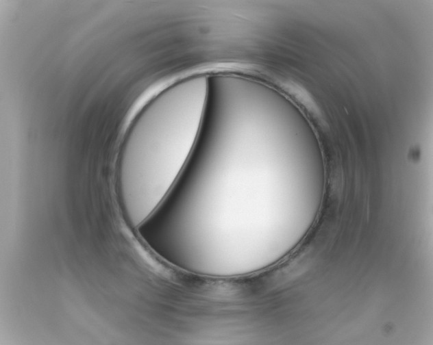 X0000092091420200709121116