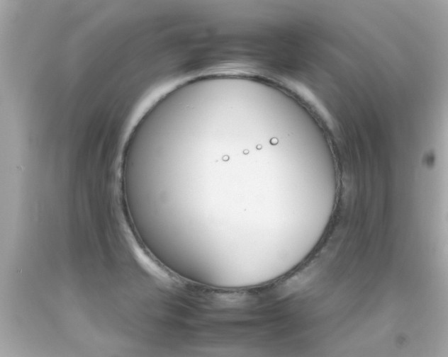X0000092091421200709121116