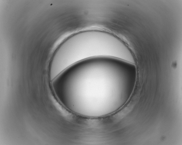 X0000092091422200709121116