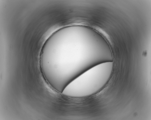 X0000092091423200709121116