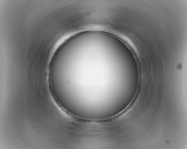 X0000092091424200709121116