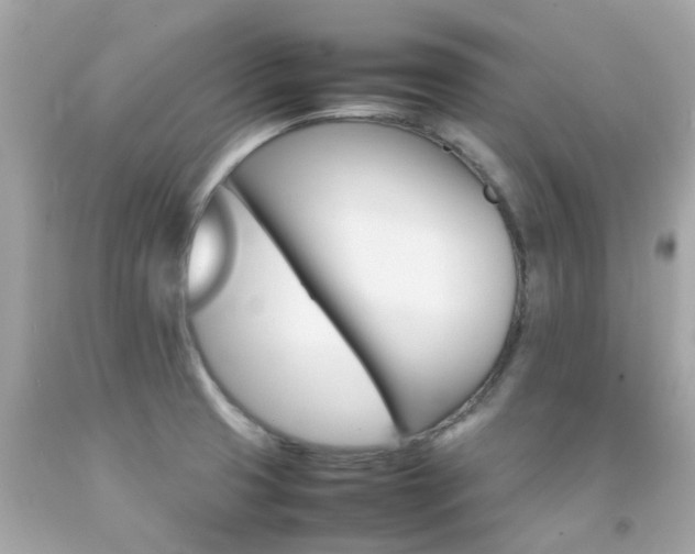 X0000092091425200709121116