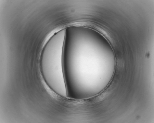 X0000092091426200709121116