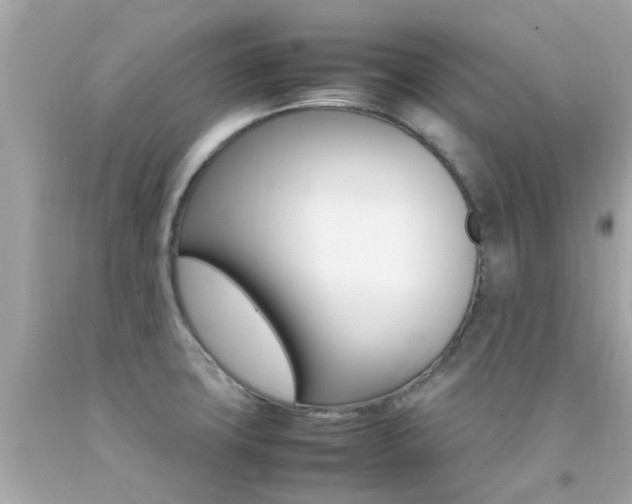 X0000092091427200709121116