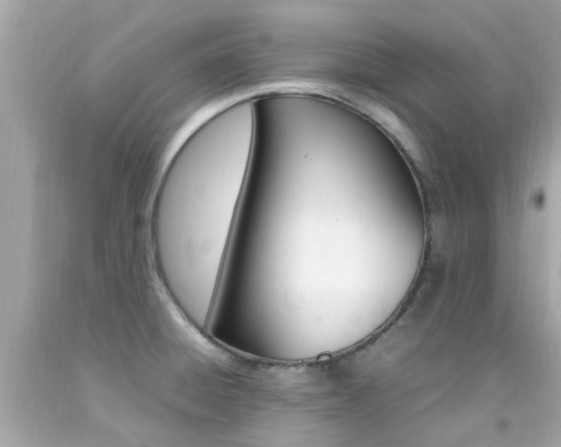 X0000092091428200709121116