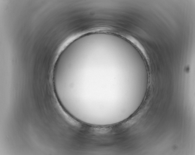 X0000092091429200709121116