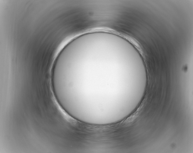 X0000092091430200709121116