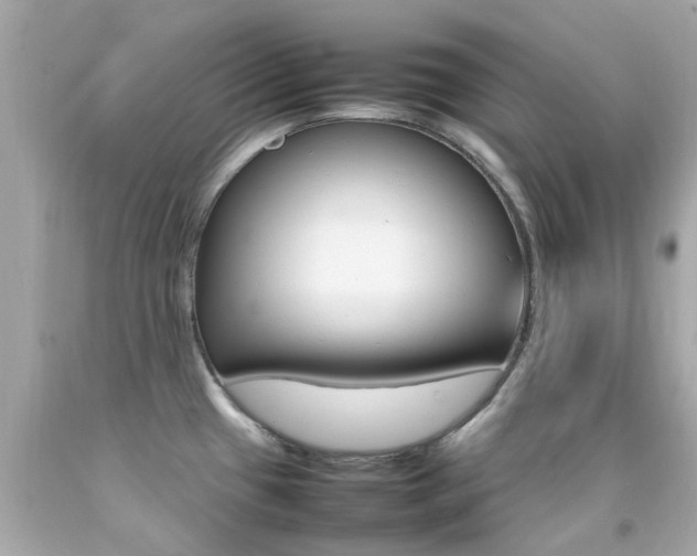 X0000092091433200709121117