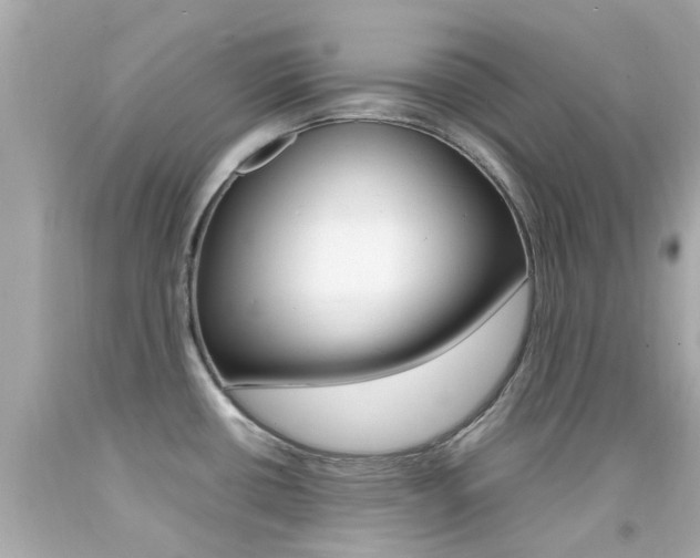 X0000092091434200709121117