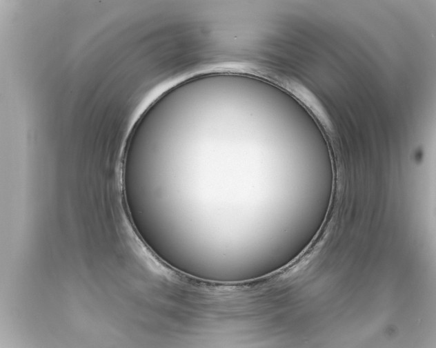 X0000092091436200709121117