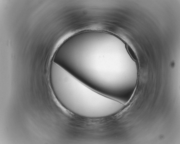 X0000092091437200709121117