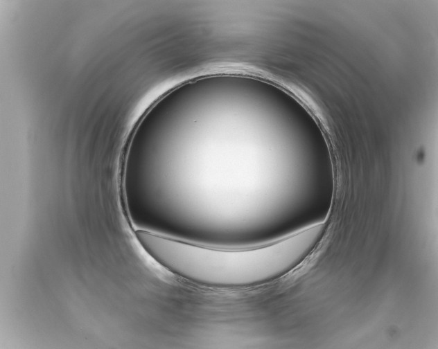 X0000092091438200709121117