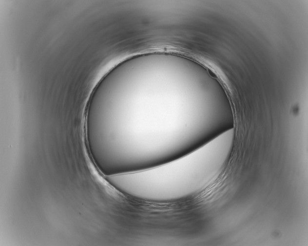 X0000092091439200709121117