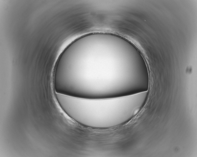 X0000092091440200709121117