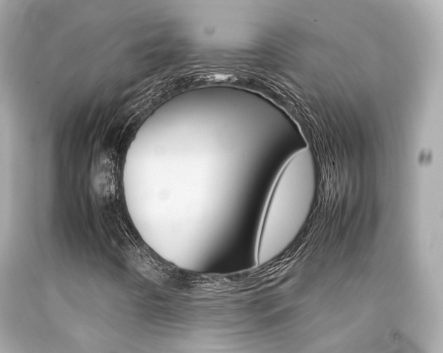 X0000092091442200709121116