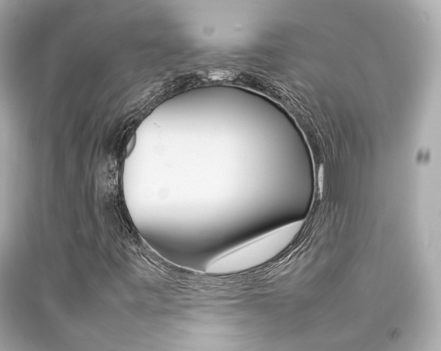 X0000092091443200709121116