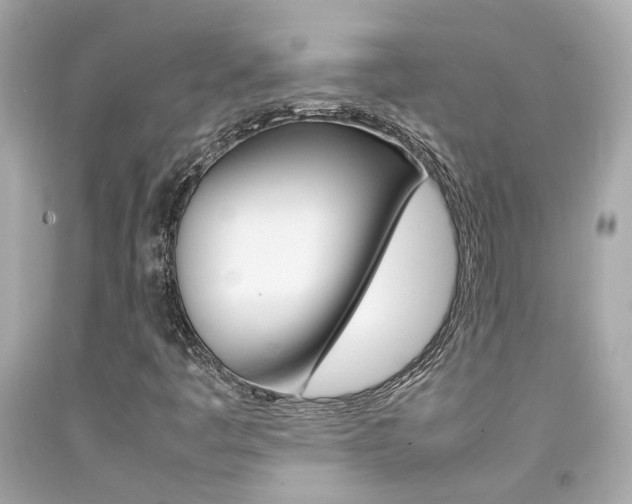 X0000092091445200709121116