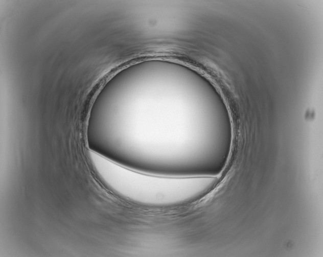 X0000092091449200709121116