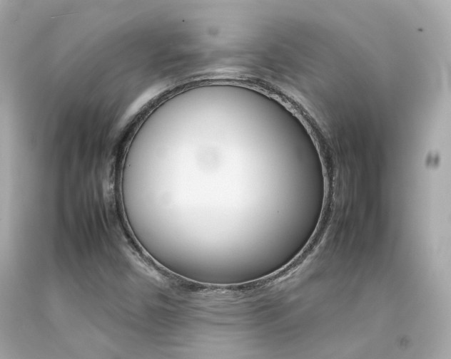 X0000092091450200709121116