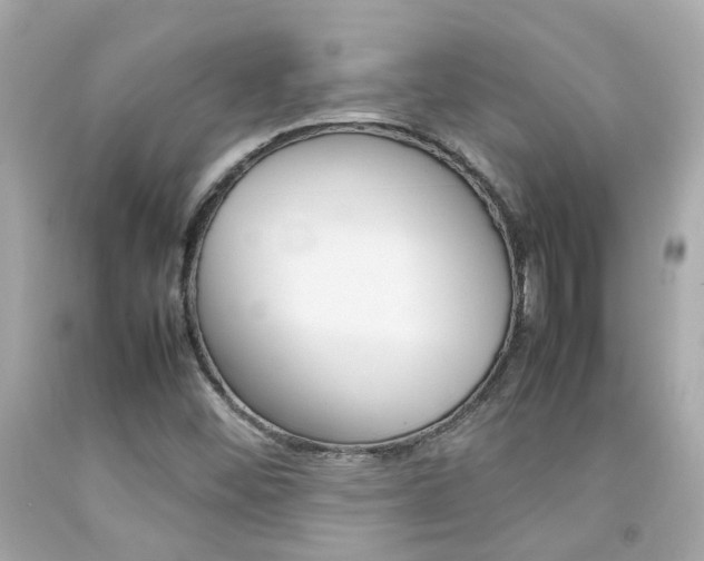 X0000092091452200709121116