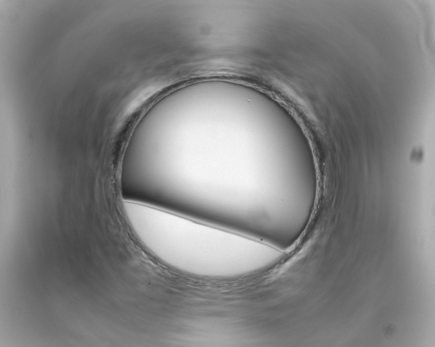 X0000092091453200709121116