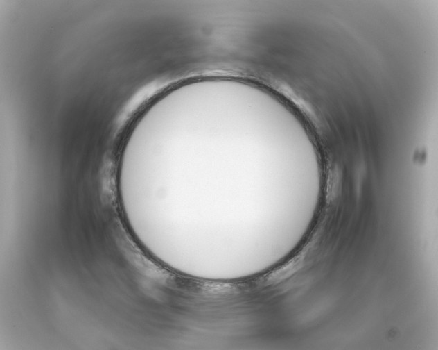 X0000092091454200709121116