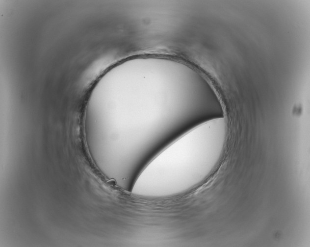 X0000092091455200709121116