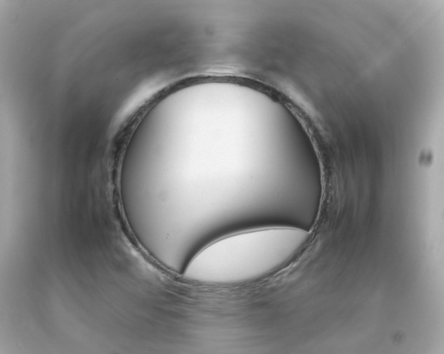 X0000092091456200709121116