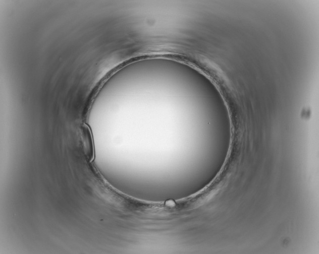 X0000092091457200709121116