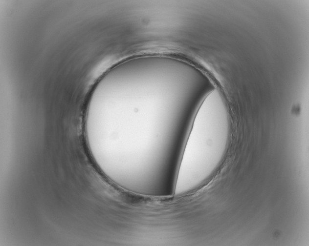 X0000092091459200709121116
