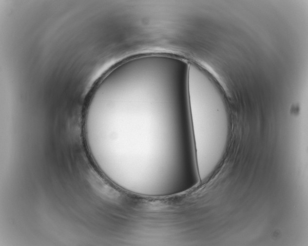 X0000092091460200709121116