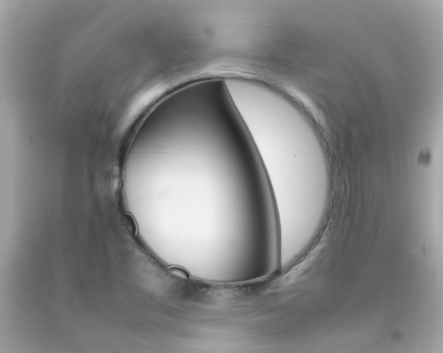 X0000092091461200709121116