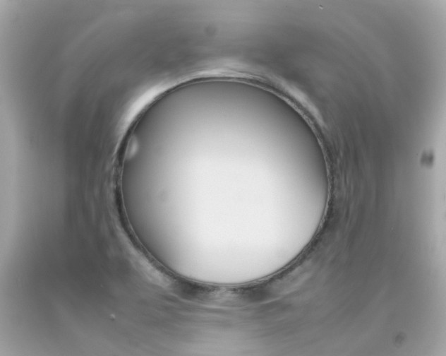 X0000092091463200709121116