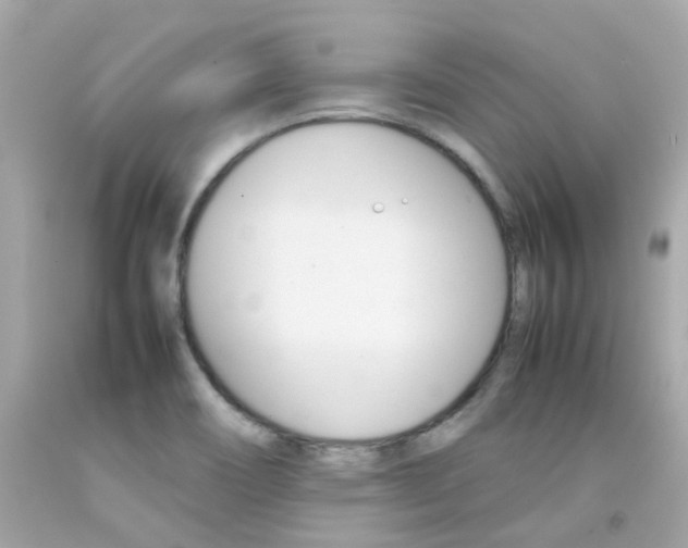 X0000092091466200709121116