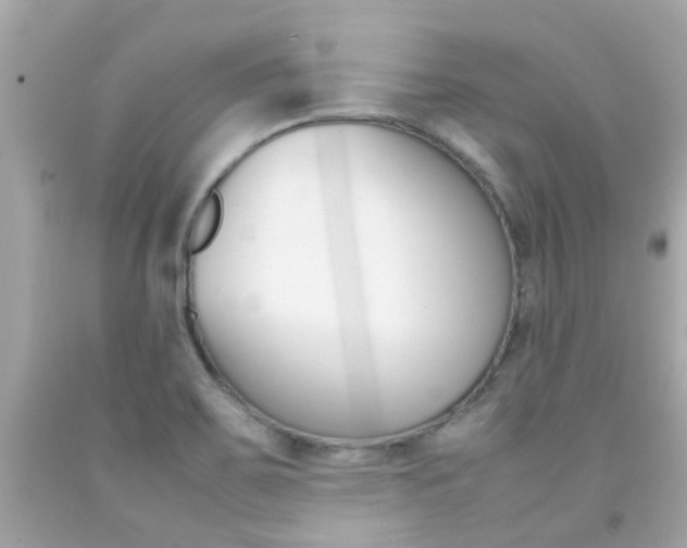 X0000092091467200709121116