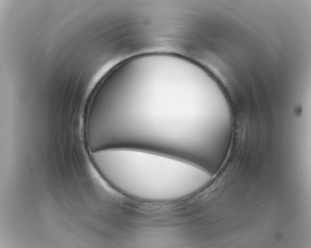 X0000092091468200709121116