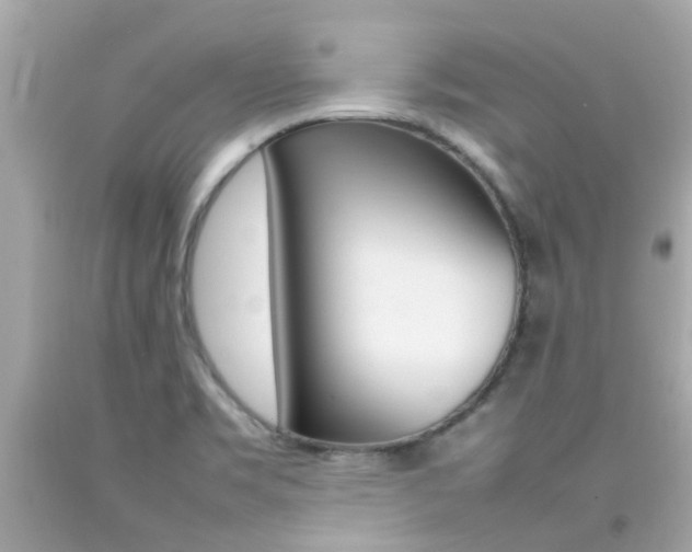 X0000092091469200709121116