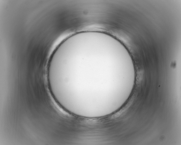 X0000092091470200709121116